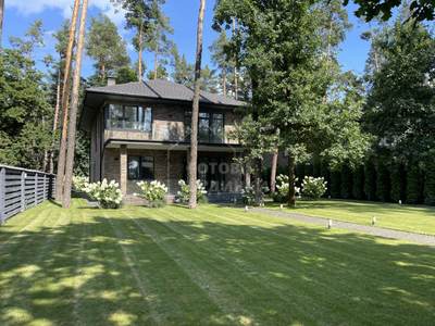 Будинок 250 м² у Плюти